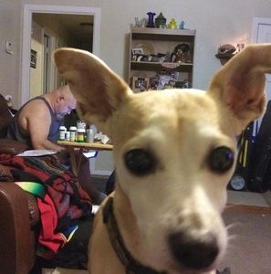 Meet your Posher, Yvette